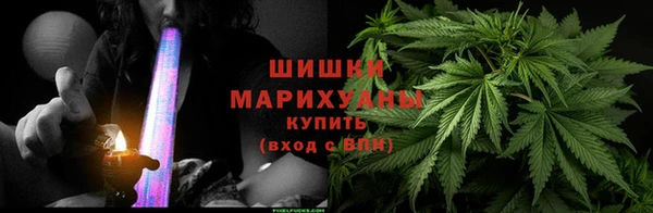 дурь Магас