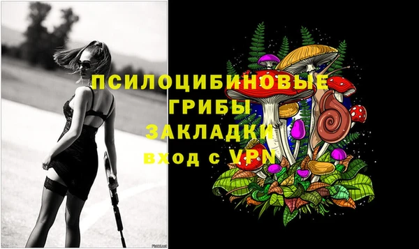дурь Майский
