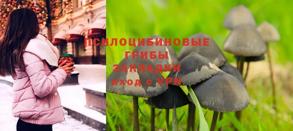 прущая мука Магадан