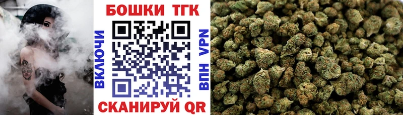 Бошки марихуана план  Купить где  Киселёвск 